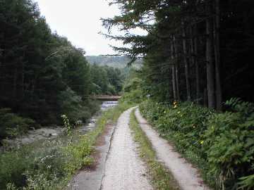 鳩打林道