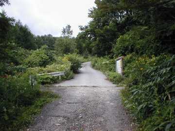 鳩打林道