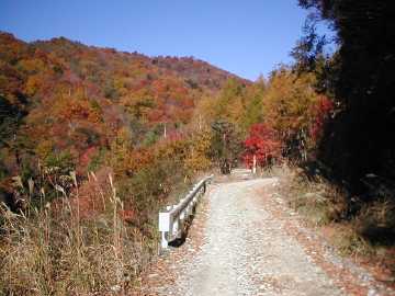 栗原川根利林道