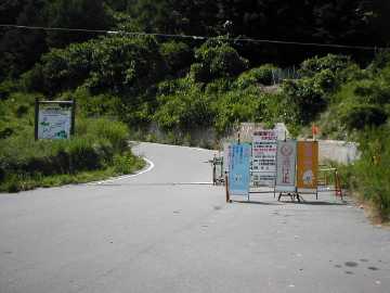 日影入林道