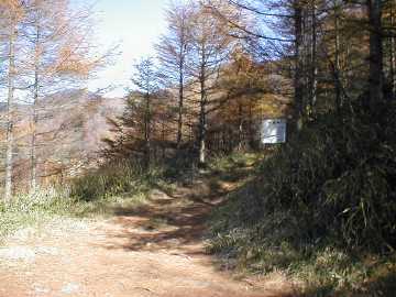 真菜板倉林道