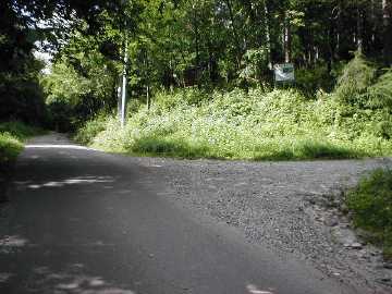 保福寺林道