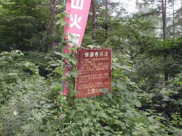 保福寺林道