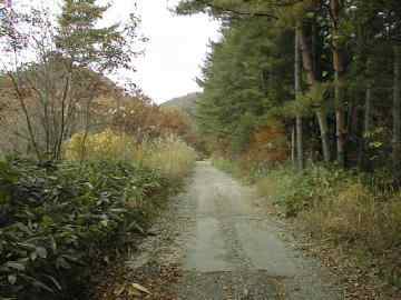 古桧峠林道