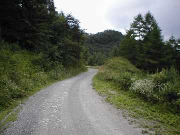 御荷鉾林道