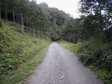 御荷鉾林道