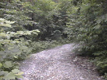 古桧峠林道
