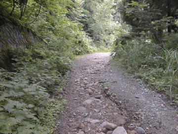 古桧峠林道
