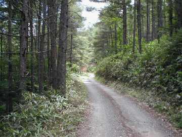金沢林道