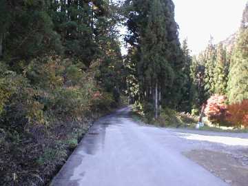 小塩塩之岐林道