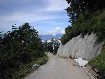 黒牛折草林道
