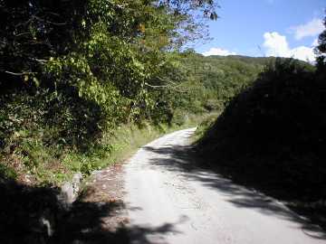 黒沢林道