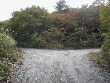 黒沢林道