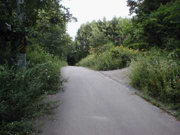 丸金林道