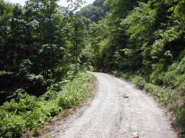 大成沢林道（不動沢林道）