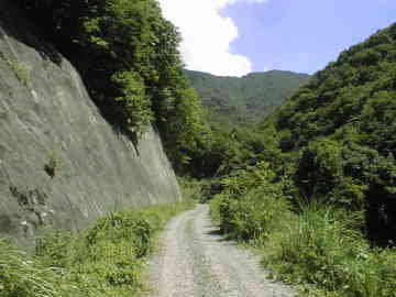 三河小田川林道