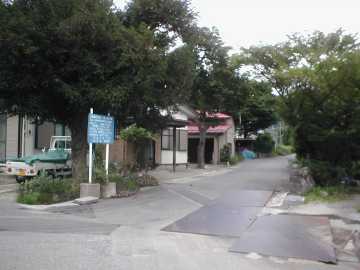 三河小田川林道