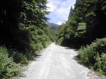 三河小田川林道