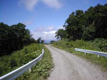 三河小田川林道