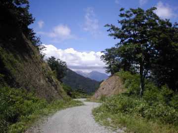 三河小田川林道
