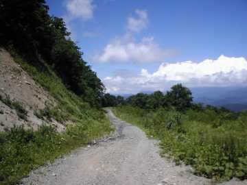 三河小田川林道