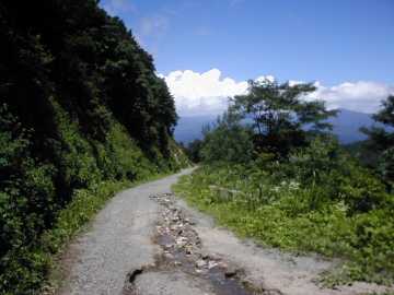 三河小田川林道
