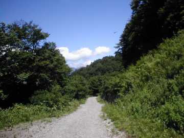 三河小田川林道