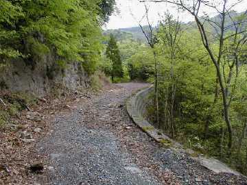 城井林道