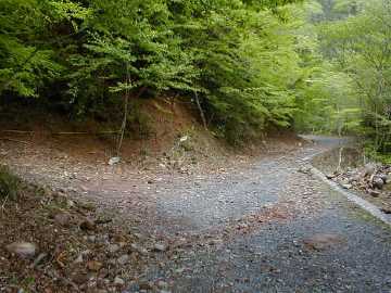城井林道