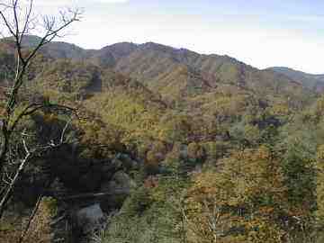 帝釈山林道