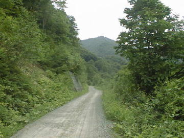 帝釈山林道
