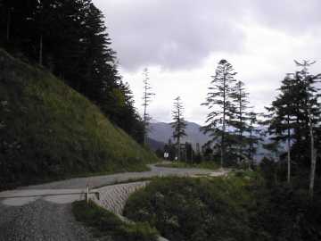 帝釈山林道