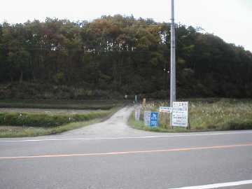 向山林道