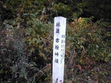 向山林道