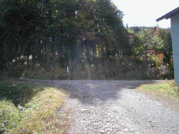 向山林道