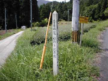 松瀬歌系林道