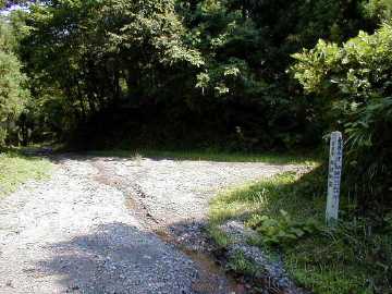 西向林道
