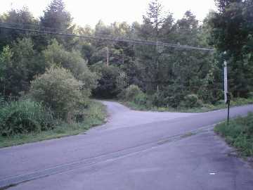 西山林道