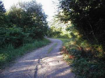 西山林道
