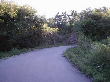 西山林道