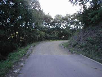 西山林道