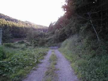 西山林道