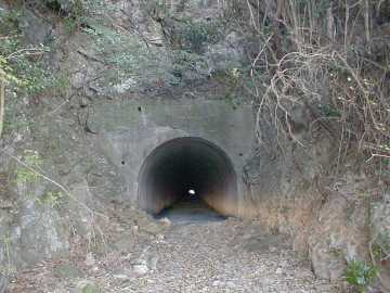 木立畑の浦峠林道