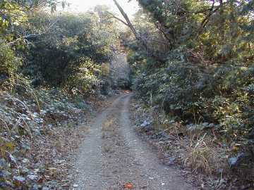木立畑の浦峠林道