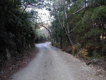 木立畑の浦峠林道