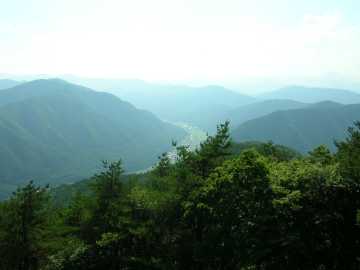 王城枝垂栗林道