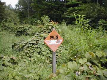 坂室林道