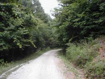 坂室林道