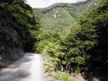 若山谷石神林道