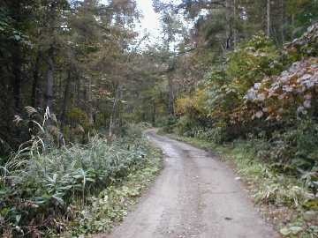 大窪林道